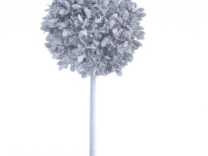 city tree Model 3D