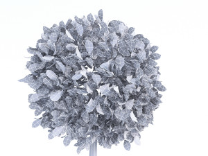 city tree Model 3D