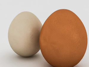 흰색과 노란색 계란 3D 모델