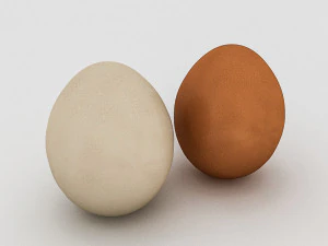 white and yellow eggs 3D Model