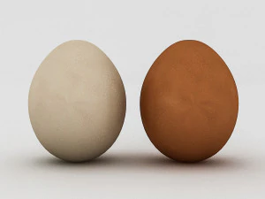 white and yellow eggs 3D Model