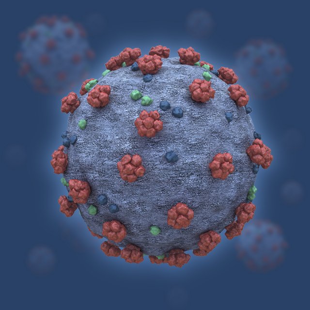 covid19 3D मॉडल .c4d .max .obj .3ds .fbx .stl .blend 
