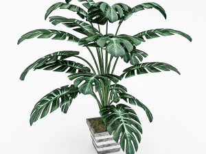 monstera leaves 3D Model