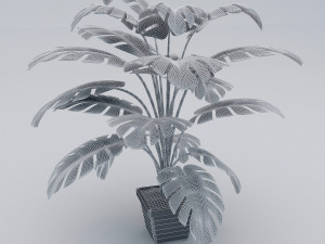 monstera leaves 3D Model