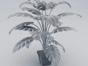 monstera leaves 3D Model