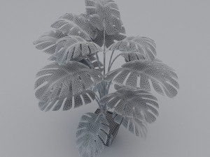 monstera leaves 3D Model