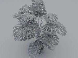 monstera leaves 3D Model