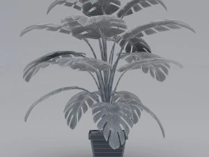 monstera leaves 3D Model