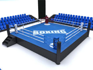 &aacute;rea de boxeo Modelo 3D