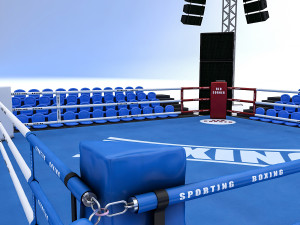 boxing area 3D मॉडल