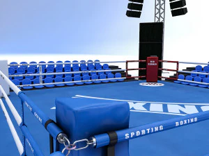 &aacute;rea de boxeo Modelo 3D