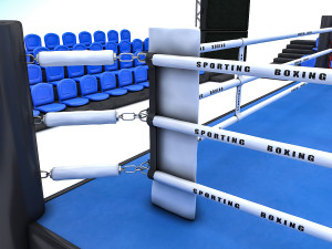 boxing area 3D मॉडल