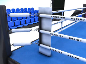 &aacute;rea de boxeo Modelo 3D
