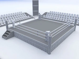 &aacute;rea de boxeo Modelo 3D