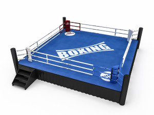 boxing area 2 3D Model