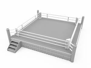 boxing area 2 3D Model
