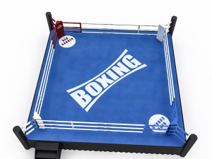 boxing area 2 3D Model