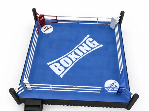 boxing area 2 3D Model