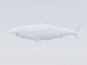 Modelo de tubar&atilde;o manipulado 3D Modelo 3D