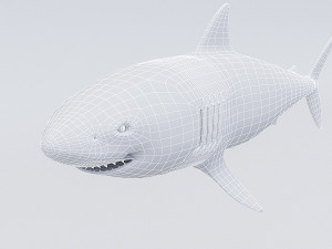 3d rigged shark model 3D Модель