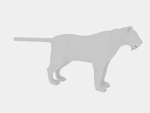 low poly tiger base model 3D Model