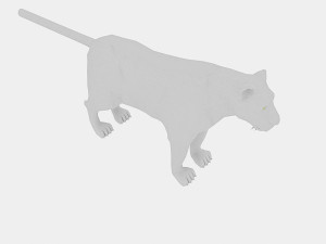 low poly tiger base model 3D मॉडल