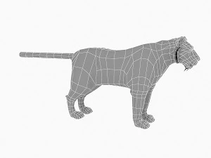 low poly tiger base model 3D Model