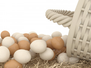 basket straw and eggs are natural 3Dモデル