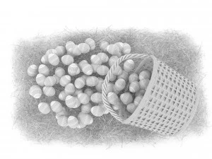 basket straw and eggs are natural 3D Model