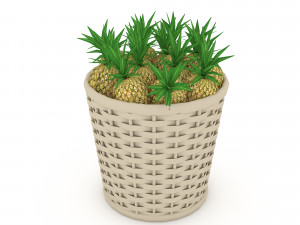 basket ananas market sale Model 3D