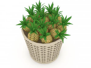 basket ananas market sale 3D Model