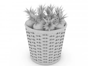 basket ananas market sale 3D Model