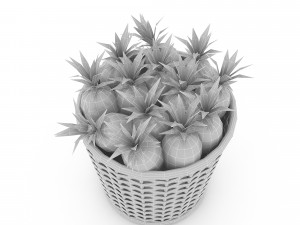 basket ananas market sale Model 3D
