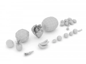 mixed fruit and vegetable varieties 3D Model