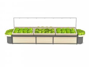 greengrocer department fruit and vegetable 3Dモデル