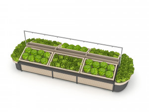 greengrocer department fruit and vegetable 3Dモデル