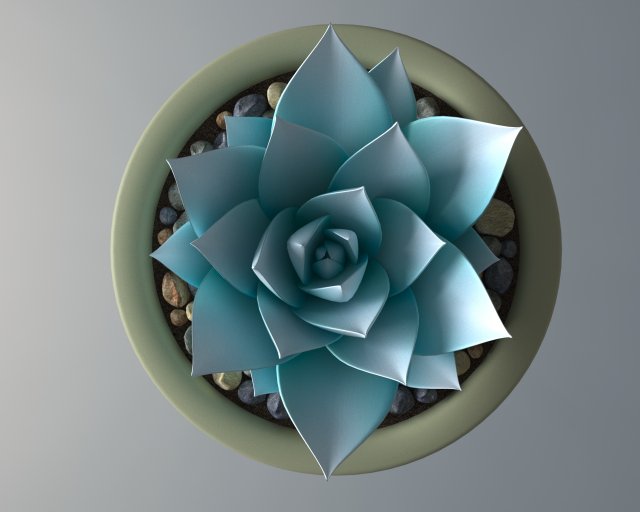 succulent potted plant 3Dモデル .c4d .max .obj .3ds .fbx .stl .blend 