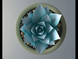 succulent potted plant 3D Model