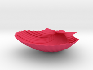 scallop shell Model Cetak 3D