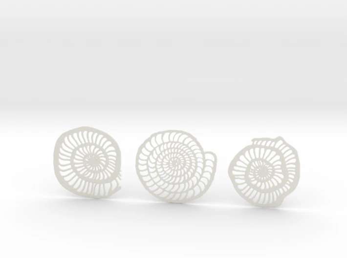 foraminifera coasters 3D Print Model .c4d .max .obj .3ds .fbx .stl .blend 
