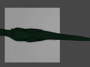 t-rex 3Dモデル