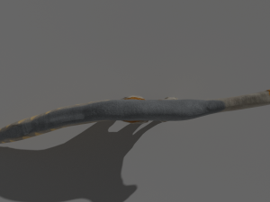ampelosaurus 3D Model