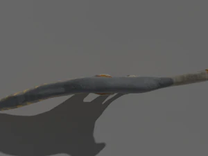 ampelosaurus 3D Model