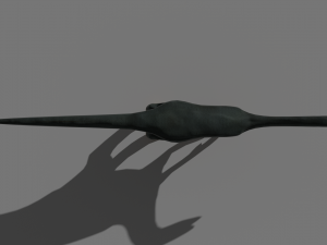 dinosaur beipiaosaurus 3D Model