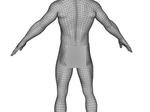 Advanced Realistic Base Game Character Rig 3D Model