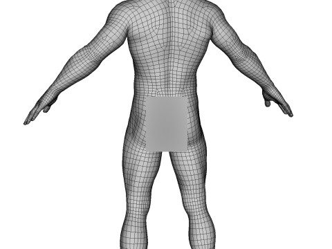 Advanced Realistic Base Game Character Rig 3D Model