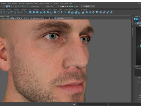 Advanced Realistic Base Game Character Rig 3D Model