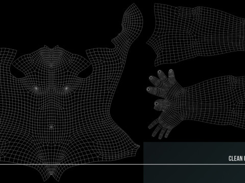 Advanced Realistic Base Game Character Rig 3D Model