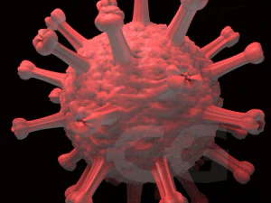 covid19 3D Model