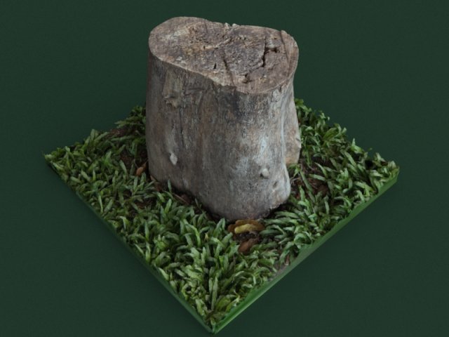 stump1 Modelo 3D .c4d .max .obj .3ds .fbx .stl .blend 